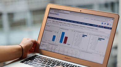 Consolidated accounts