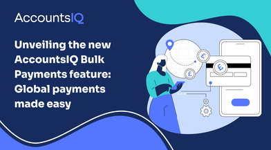 New bulk payment feature